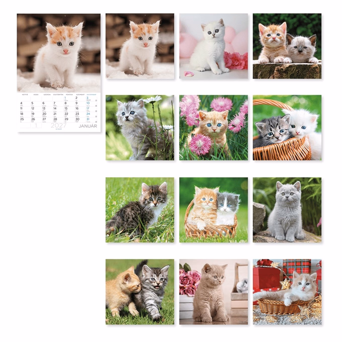 Falinaptár LIZZYCALENDAR B/4 álló spirálozott Cicák 2027