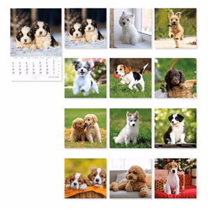Falinaptár LIZZYCALENDAR B/4 álló spirálozott Kutyák 2027