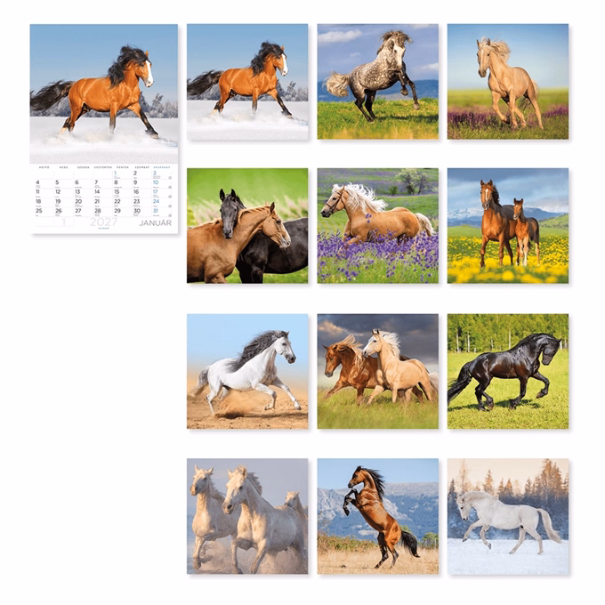 Falinaptár LIZZYCALENDAR B/4 álló spirálozott Lovak 2027