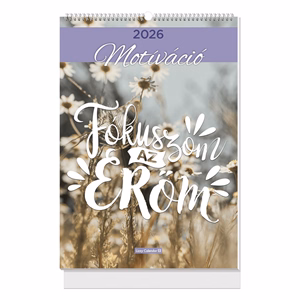 Falinaptár LIZZYCALENDAR B/4 álló spirálozott Motiváció 2027