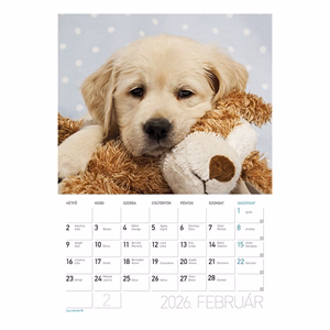 Falinaptár LIZZY CARD A/4 álló Kutyák 2026.