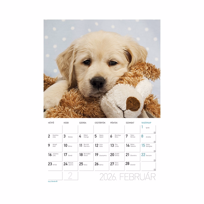 Falinaptár LIZZY CARD A/4 álló Kutyák 2026.
