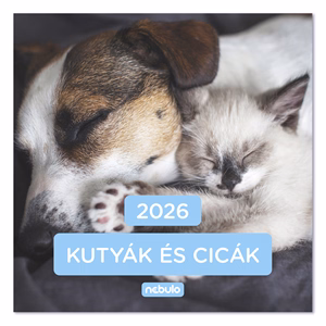 Falinaptár NEBULO 300x600mm álló Kutyák-Cicák 2026.