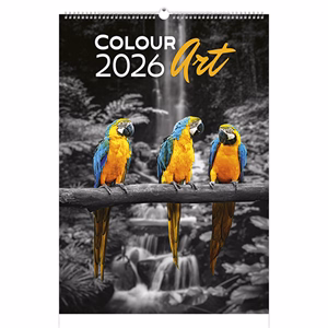 Falinaptár TOPTIMER T092 315x450mm álló Colour Art 2026.