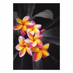 Falinaptár TOPTIMER T092 315x450mm álló Colour Art 2026.