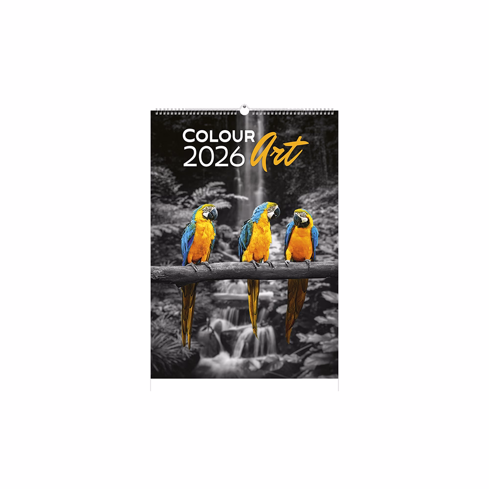 Falinaptár TOPTIMER T092 315x450mm álló Colour Art 2026.