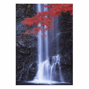 Falinaptár TOPTIMER T092 315x450mm álló Nature Emotions 2026.