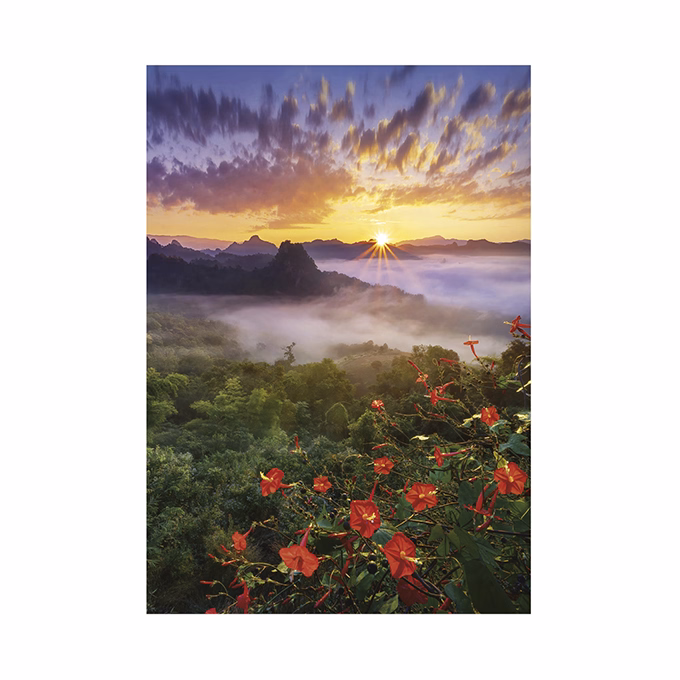 Falinaptár TOPTIMER T092 315x450mm álló Nature Emotions 2026.