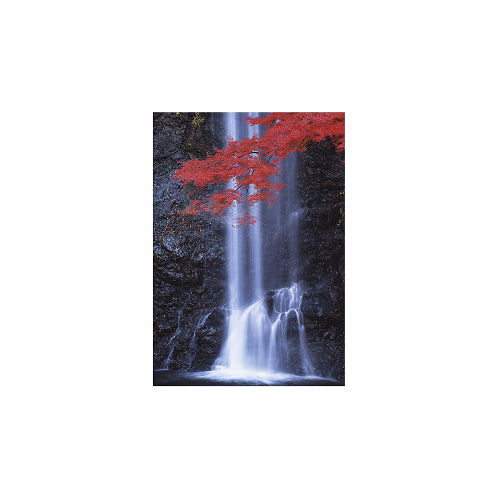 Falinaptár TOPTIMER T092 315x450mm álló Nature Emotions 2026.