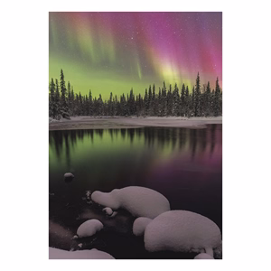 Falinaptár TOPTIMER T092 315x450mm álló Nature Emotions 2027