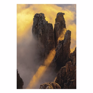 Falinaptár TOPTIMER T092 315x450mm álló Nature Emotions 2027