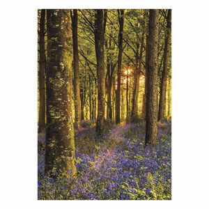 Falinaptár TOPTIMER T092 315x450mm álló Nature Emotions 2027