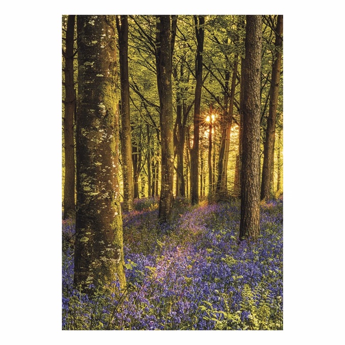 Falinaptár TOPTIMER T092 315x450mm álló Nature Emotions 2027