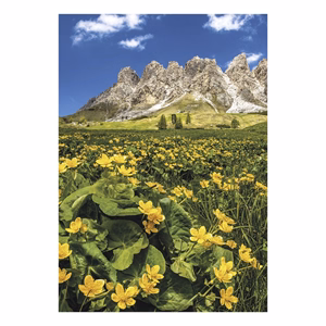 Falinaptár TOPTIMER T092 315x450mm álló Nature Emotions 2027