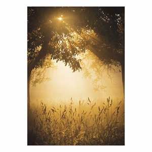 Falinaptár TOPTIMER T092 315x450mm álló Nature Emotions 2027