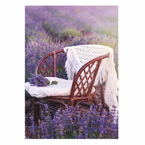 Falinaptár TOPTIMER T092 315x450mm álló Provence 2026.