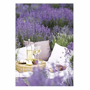 Falinaptár TOPTIMER T092 315x450mm álló Provence 2026.