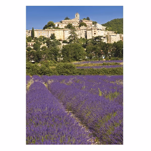 Falinaptár TOPTIMER T092 315x450mm álló Provence 2026.