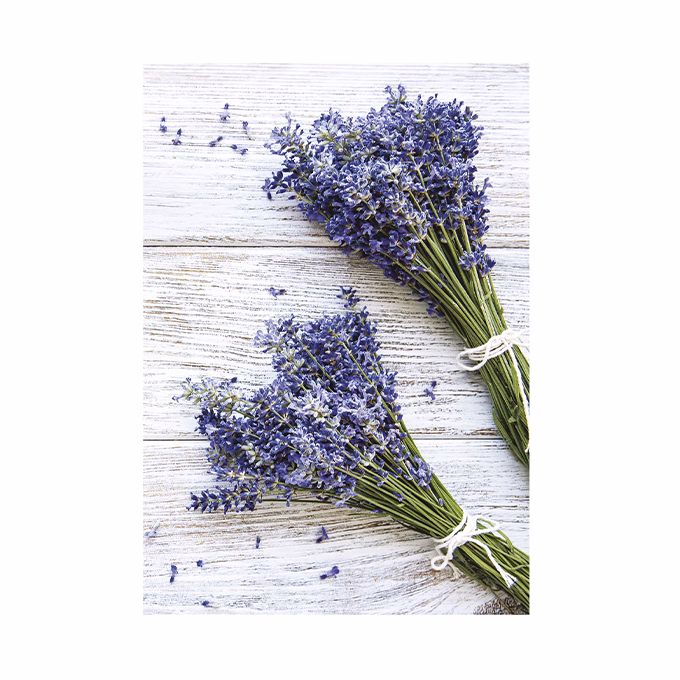 Falinaptár TOPTIMER T092 315x450mm álló Provence 2026.