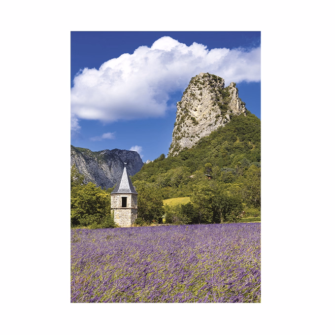 Falinaptár TOPTIMER T092 315x450mm álló Provence 2026.