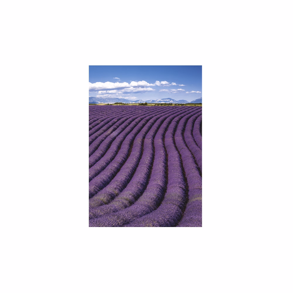 Falinaptár TOPTIMER T092 315x450mm álló Provence 2026.