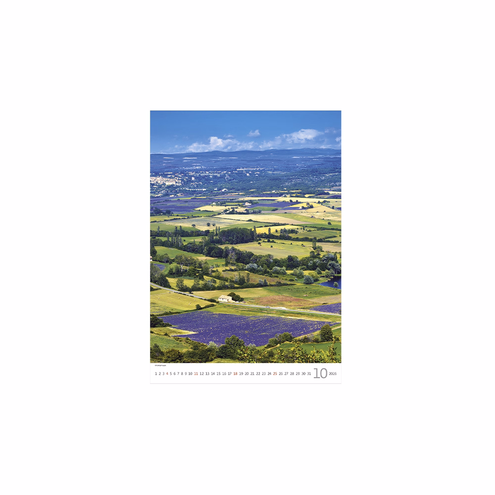 Falinaptár TOPTIMER T092 315x450mm álló Provence 2026.