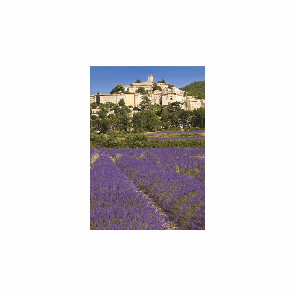 Falinaptár TOPTIMER T092 315x450mm álló Provence 2026.