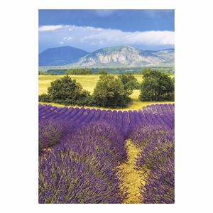 Falinaptár TOPTIMER T092 315x450mm álló Provence 2027