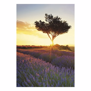 Falinaptár TOPTIMER T092 315x450mm álló Provence 2027