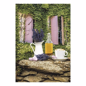 Falinaptár TOPTIMER T092 315x450mm álló Provence 2027