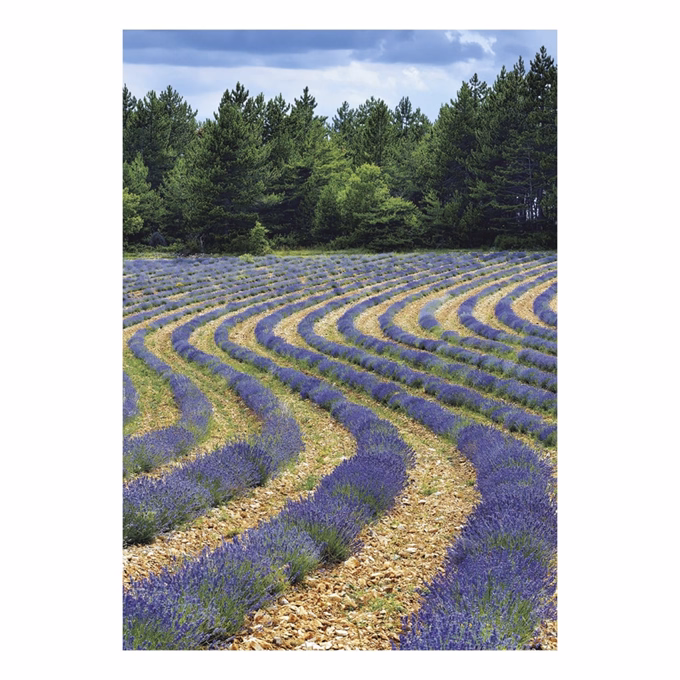 Falinaptár TOPTIMER T092 315x450mm álló Provence 2027