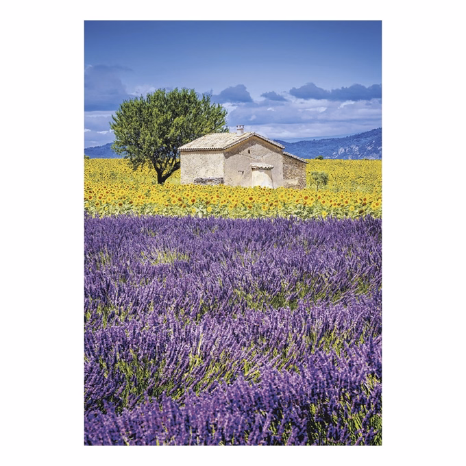 Falinaptár TOPTIMER T092 315x450mm álló Provence 2027