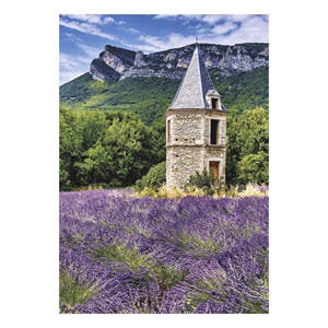 Falinaptár TOPTIMER T092 315x450mm álló Provence 2027