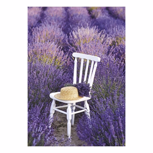 Falinaptár TOPTIMER T092 315x450mm álló Provence 2027