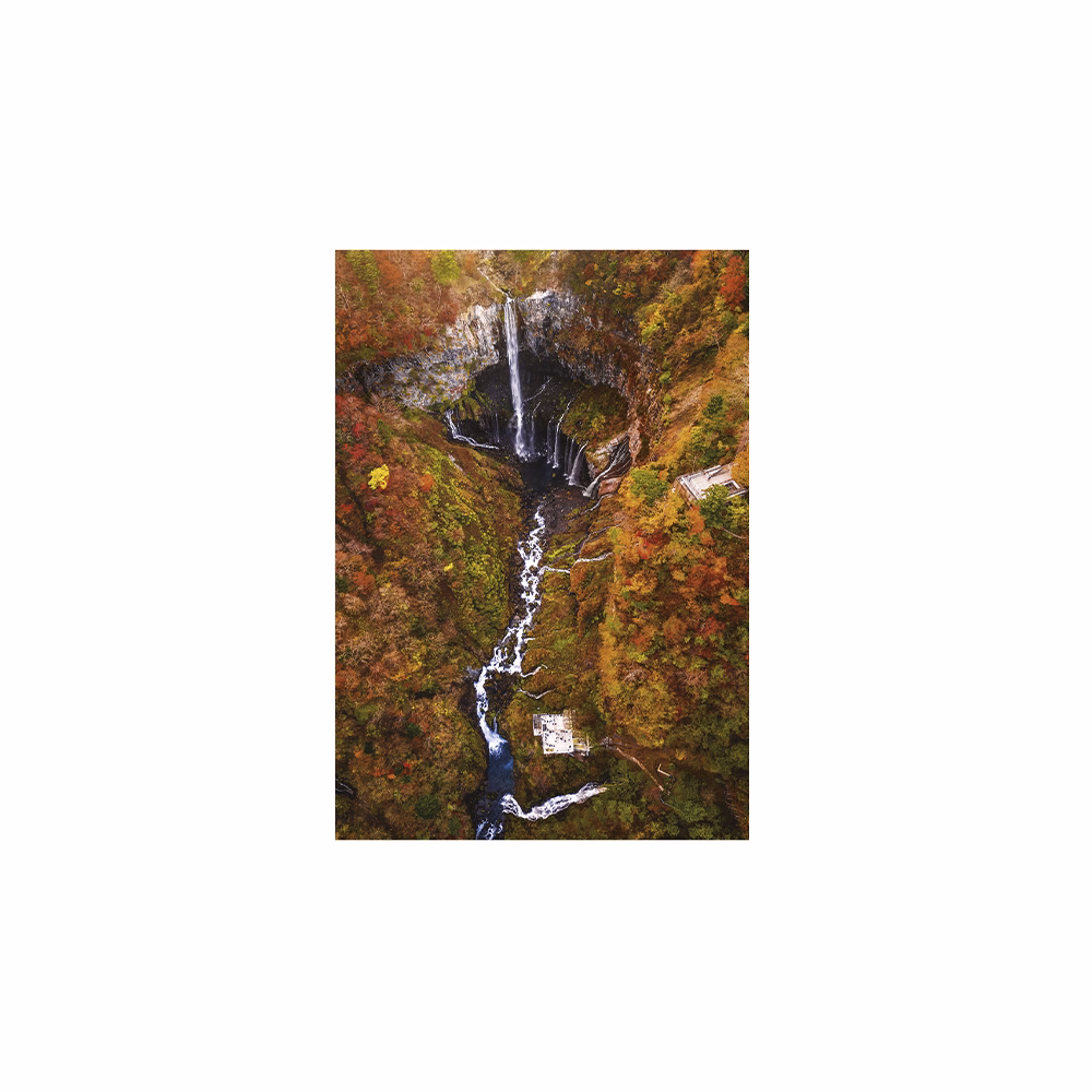 Falinaptár TOPTIMER T092 315x450mm álló World From Above 2026.