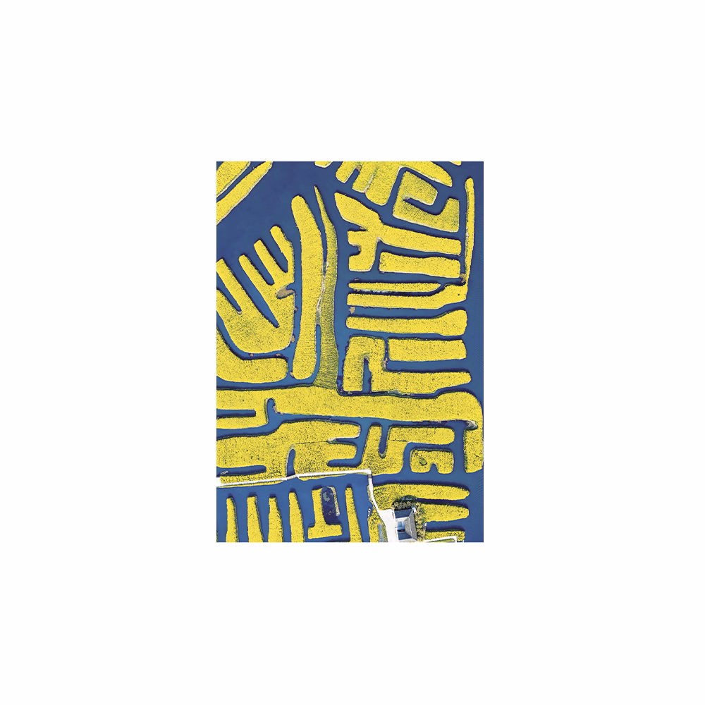 Falinaptár TOPTIMER T092 315x450mm álló World From Above 2026.