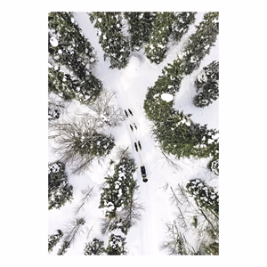 Falinaptár TOPTIMER T092 315x450mm álló World From Above 2027