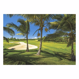 Falinaptár TOPTIMER T092 485x340mm fekvő Golf 2027