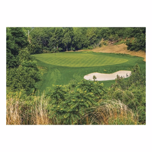 Falinaptár TOPTIMER T092 485x340mm fekvő Golf 2027
