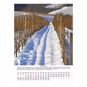 Falinaptár TOPTIMER T093 310x420mm álló Borvidékeink 2026.