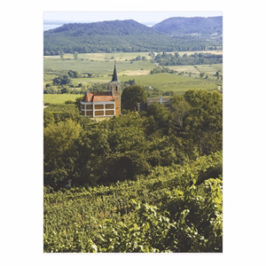 Falinaptár TOPTIMER T093 310x420mm álló Borvidékeink 2026.