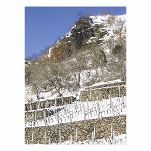 Falinaptár TOPTIMER T093 310x420mm álló Borvidékeink 2026.