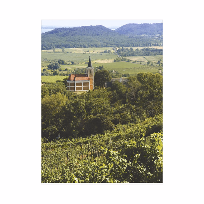 Falinaptár TOPTIMER T093 310x420mm álló Borvidékeink 2026.