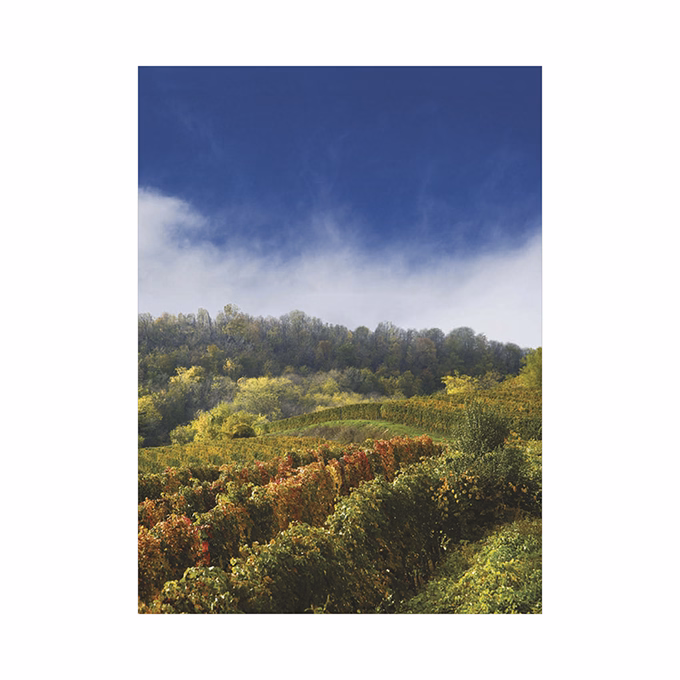 Falinaptár TOPTIMER T093 310x420mm álló Borvidékeink 2026.