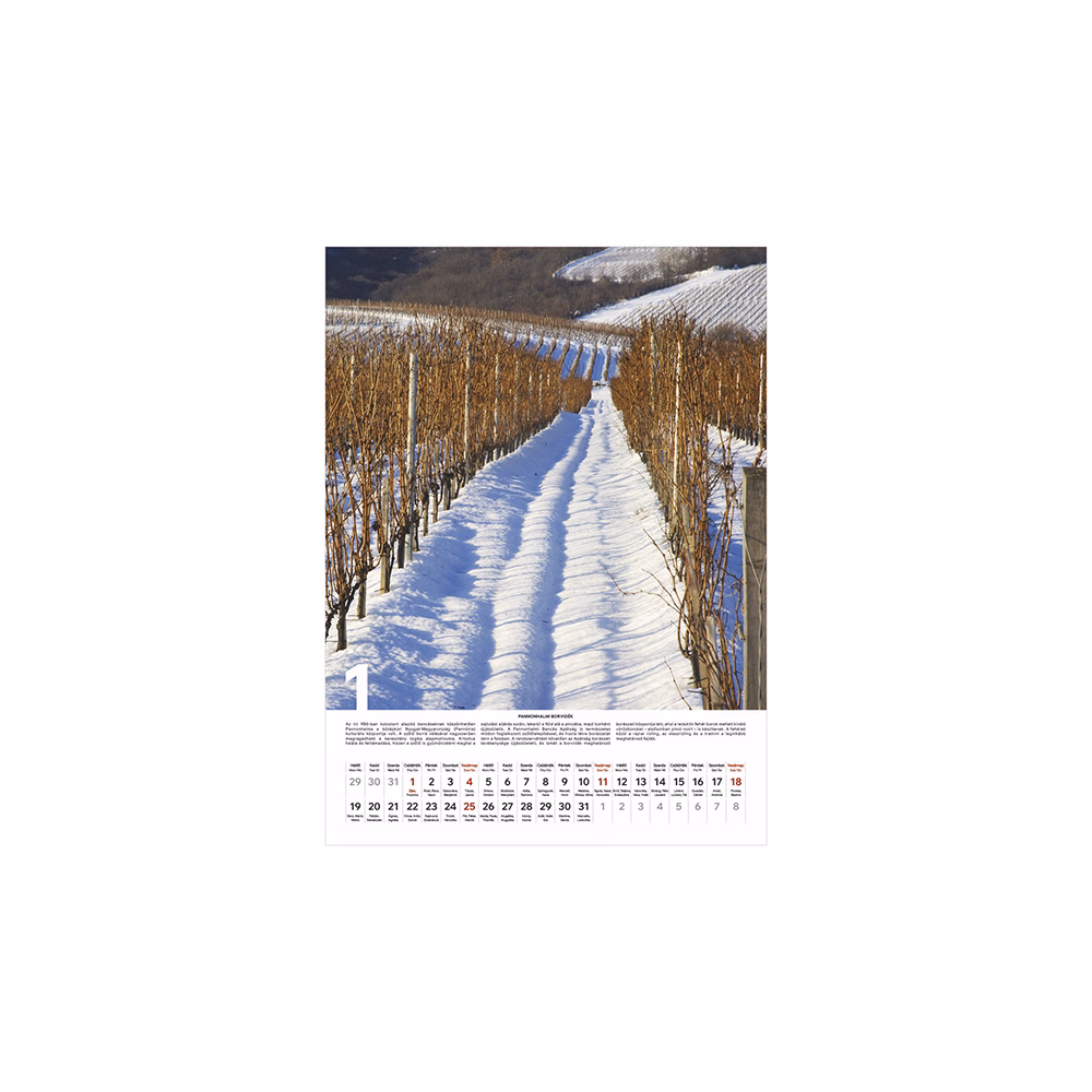 Falinaptár TOPTIMER T093 310x420mm álló Borvidékeink 2026.