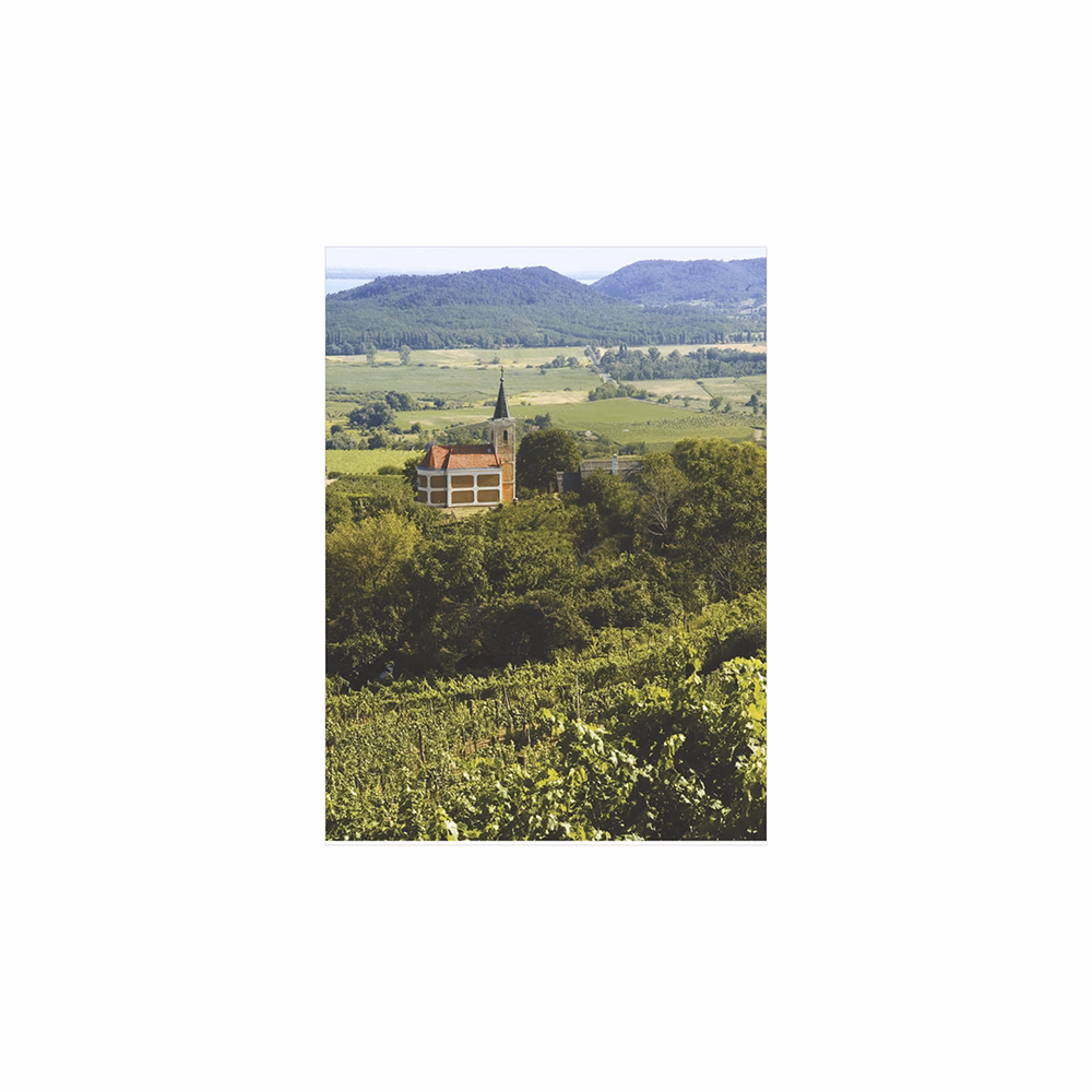 Falinaptár TOPTIMER T093 310x420mm álló Borvidékeink 2026.