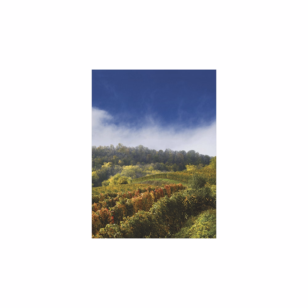 Falinaptár TOPTIMER T093 310x420mm álló Borvidékeink 2026.