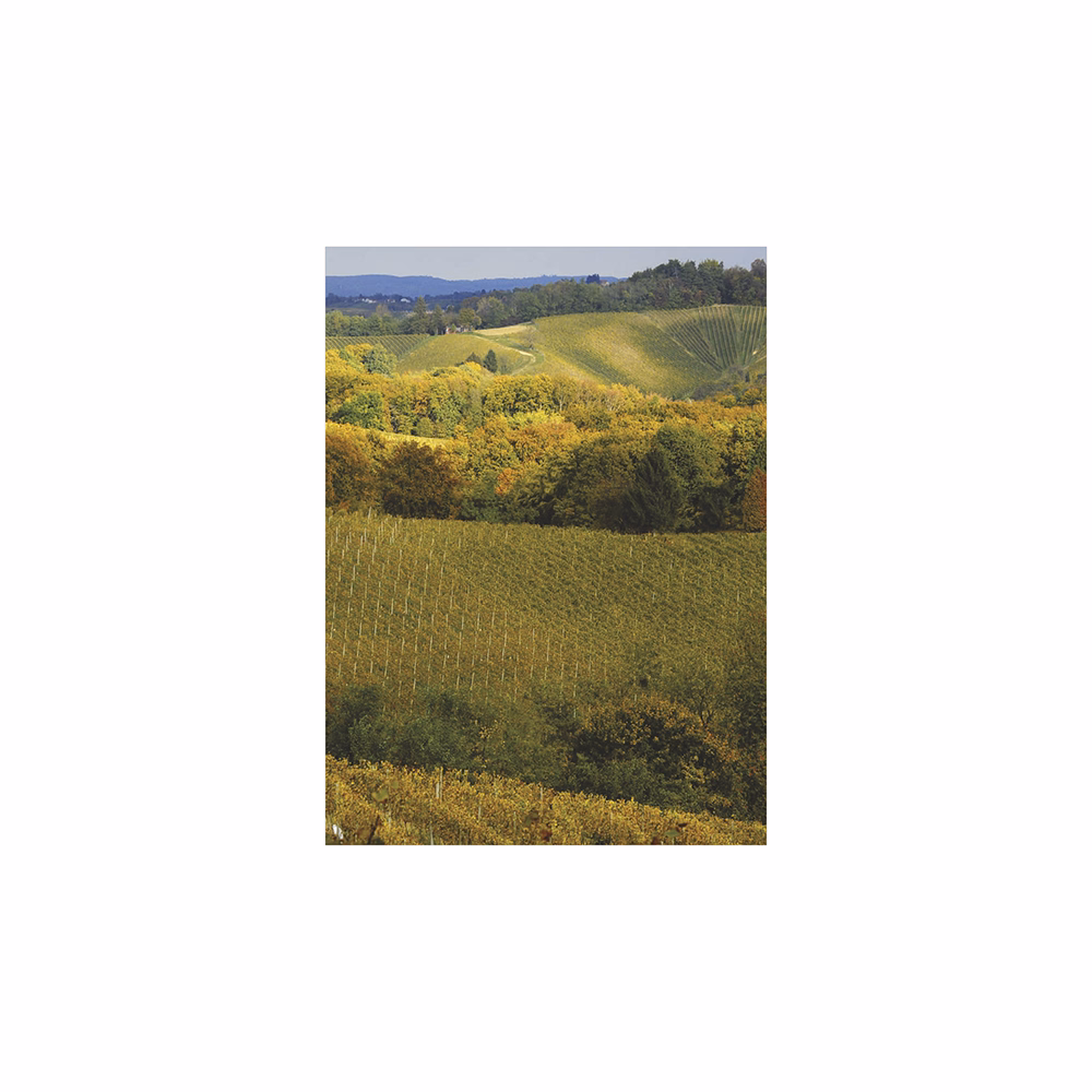 Falinaptár TOPTIMER T093 310x420mm álló Borvidékeink 2026.