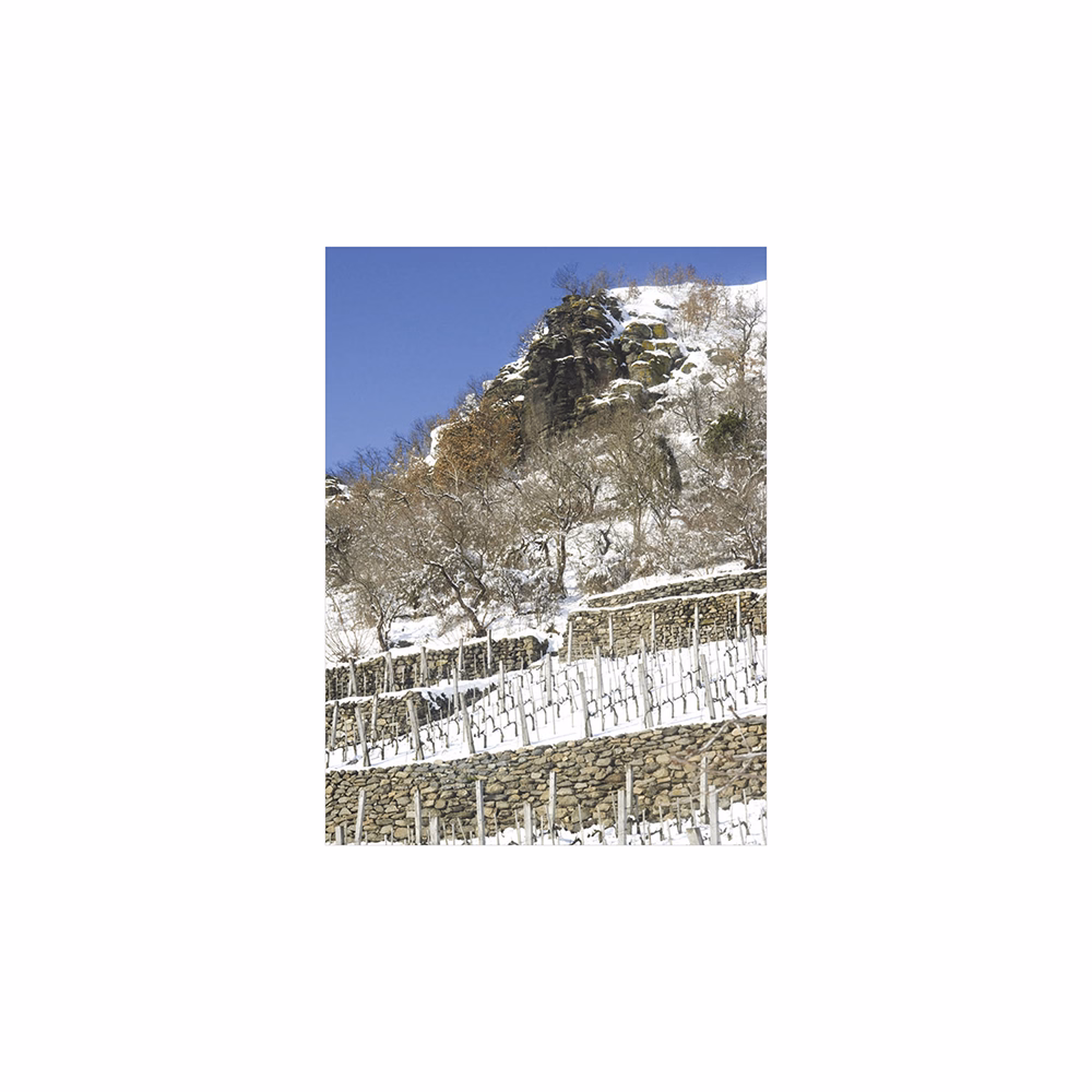 Falinaptár TOPTIMER T093 310x420mm álló Borvidékeink 2026.