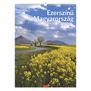 Falinaptár TOPTIMER T093 310x420mm álló Ezerszínű Magyarország 2026.